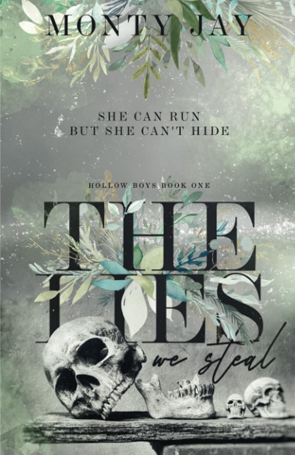 The Lies we Steal (The Hollow Boys) Paperback  By   Monty Jay