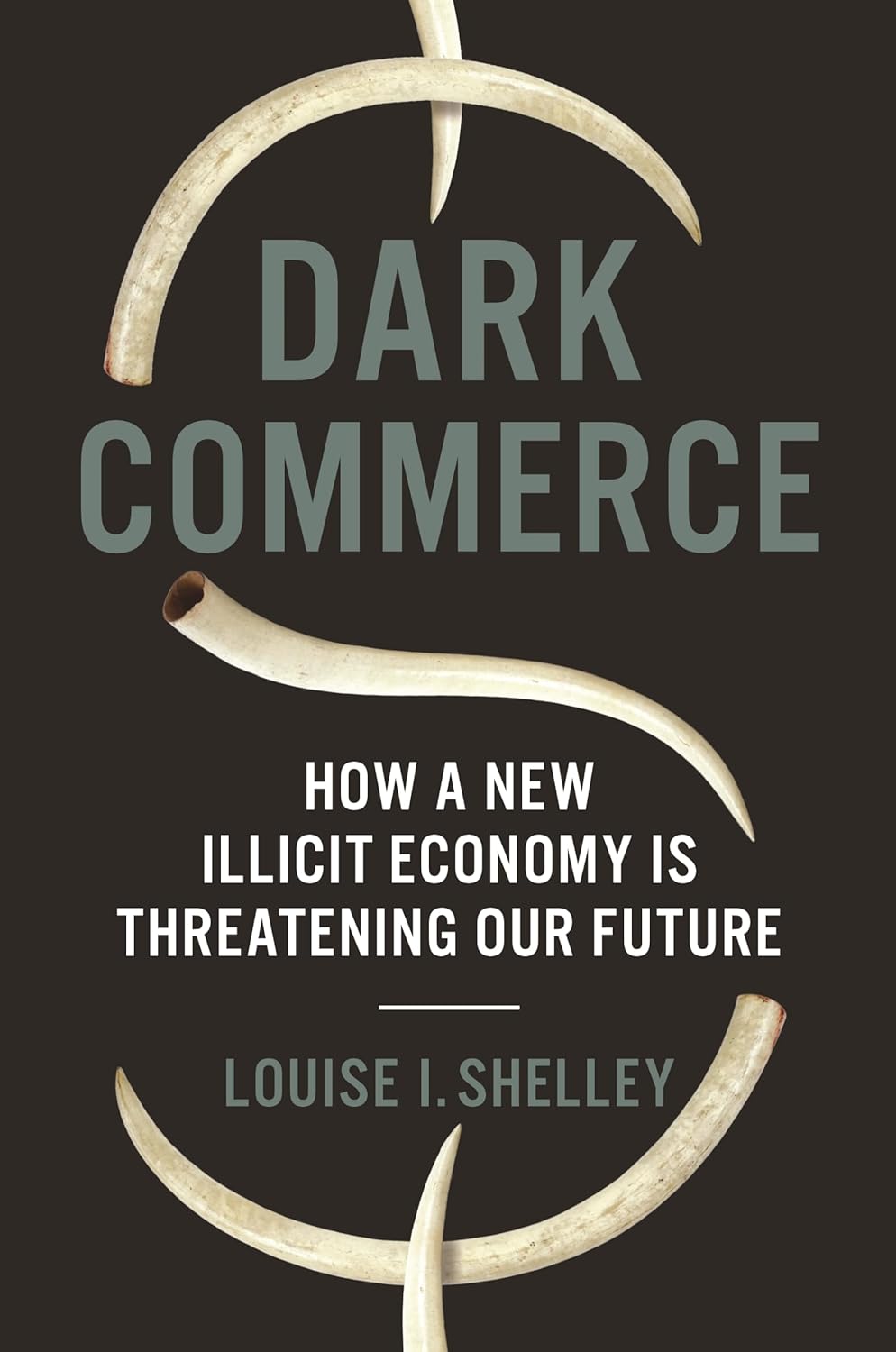 Dark Commerce: How a New Illicit Economy Is Threatening Our Future Paperback