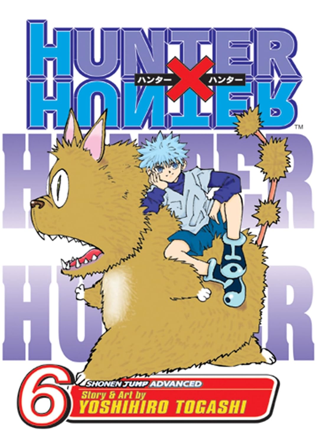 Hunter X Hunter, Vol. 06 Paperback –  by Yoshihiro Togashi